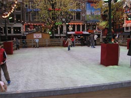 Leidseplein Ice skating