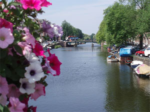 June in Amsterdam